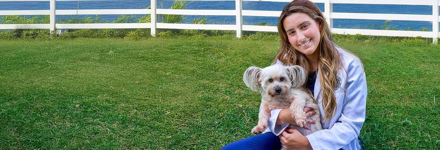 main banner lazyloaded